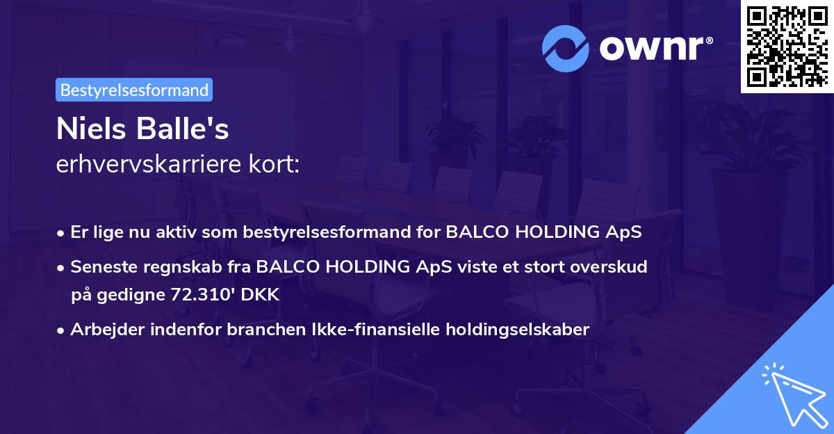 Niels Balle's erhvervskarriere kort