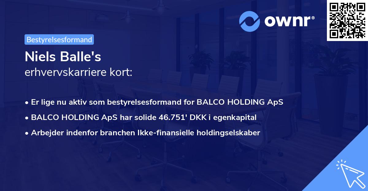 Niels Balle's erhvervskarriere kort