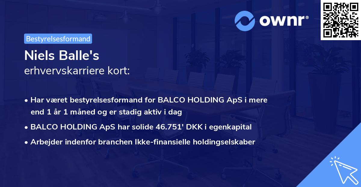 Niels Balle's erhvervskarriere kort