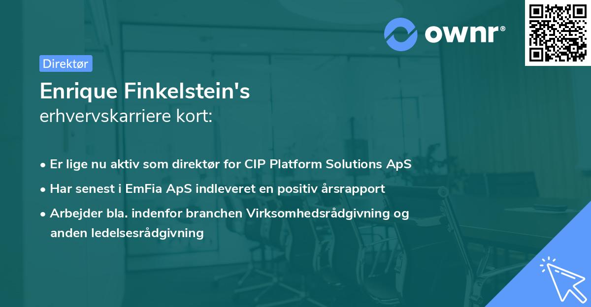 Enrique Finkelstein's erhvervskarriere kort