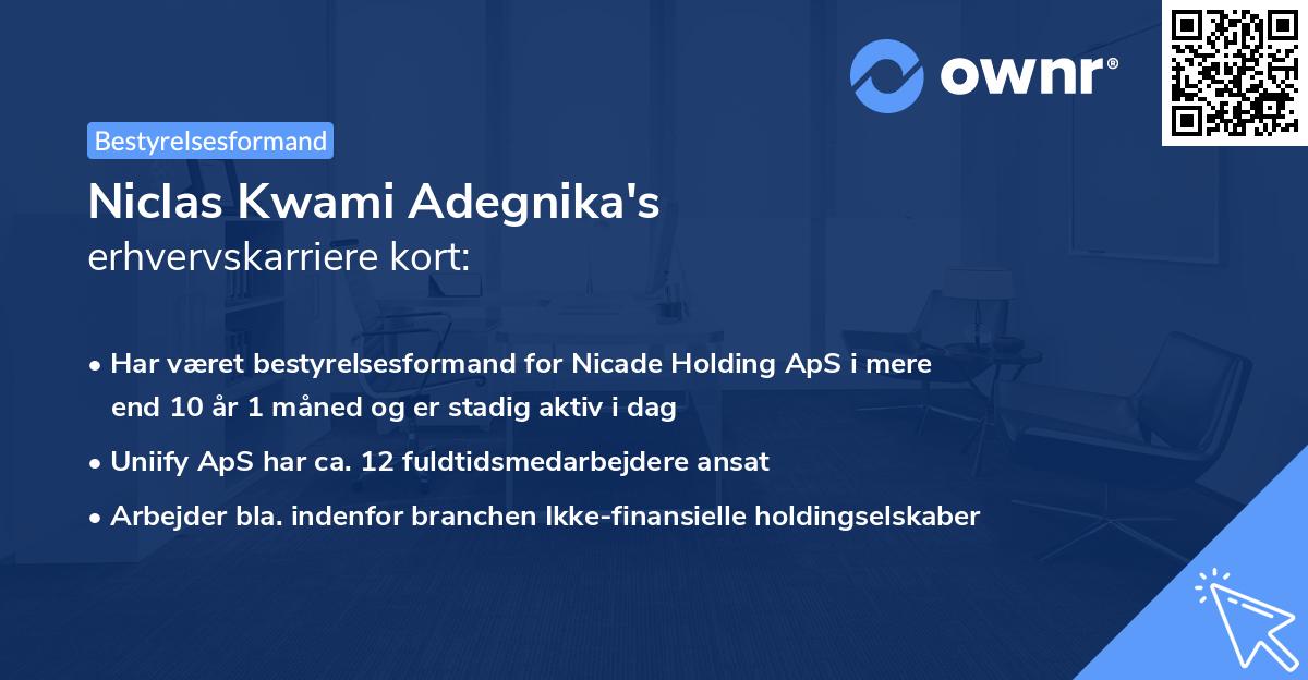 Niclas Kwami Adegnika's erhvervskarriere kort