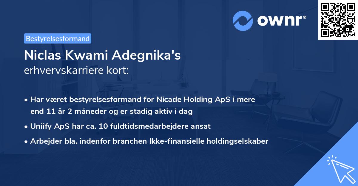 Niclas Kwami Adegnika's erhvervskarriere kort