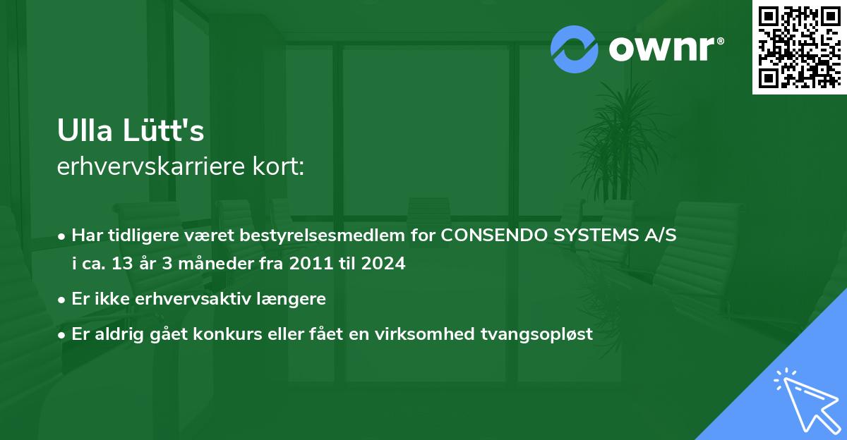 Ulla Lütt's erhvervskarriere kort