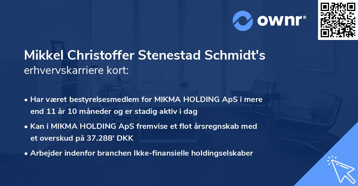 Mikkel Christoffer Stenestad Schmidt's erhvervskarriere kort