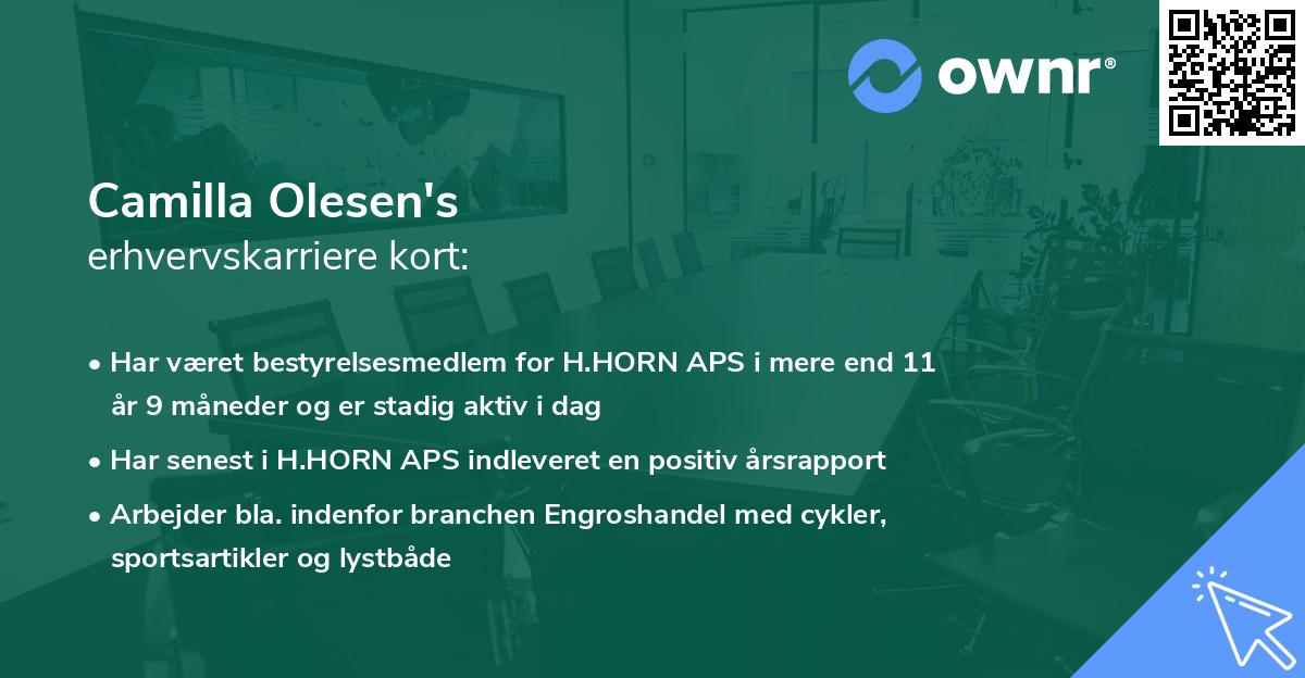 Camilla Olesen's erhvervskarriere kort