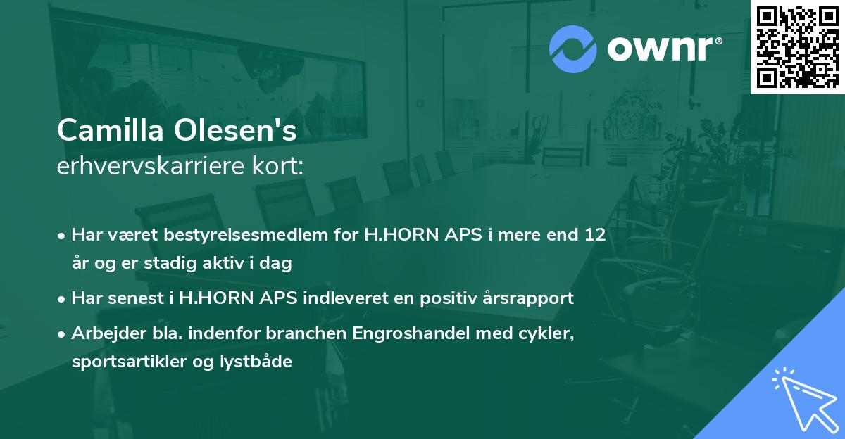 Camilla Olesen's erhvervskarriere kort