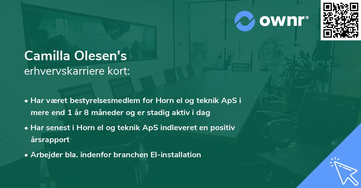 Camilla Olesen's erhvervskarriere kort
