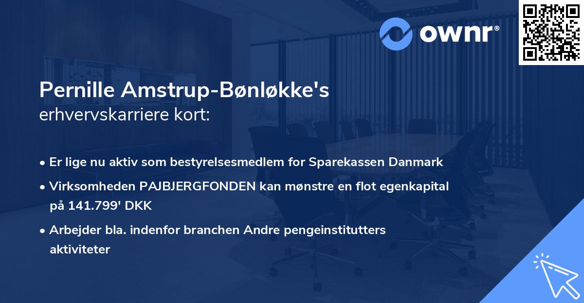 Pernille Amstrup-Bønløkke's erhvervskarriere kort