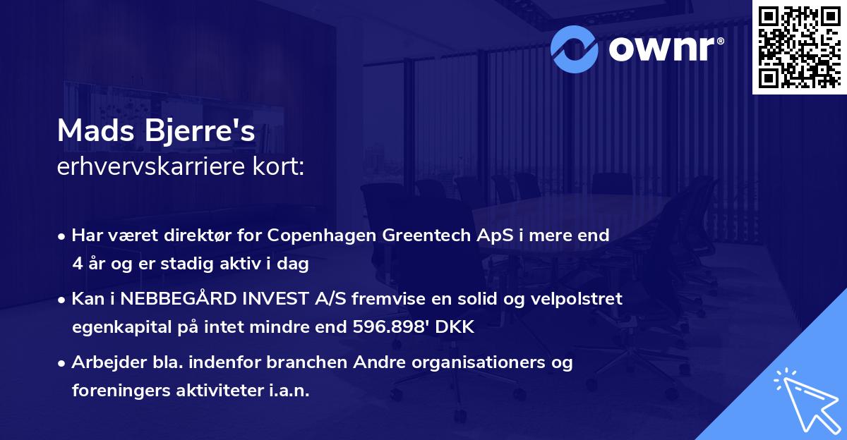 Mads Bjerre's erhvervskarriere kort