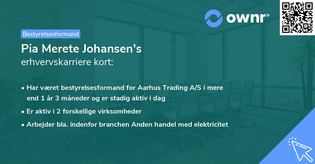 Pia Merete Johansen's erhvervskarriere kort