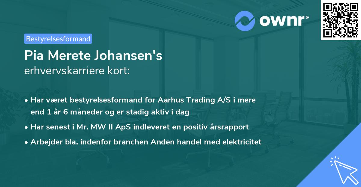 Pia Merete Johansen's erhvervskarriere kort
