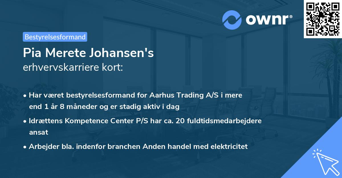 Pia Merete Johansen's erhvervskarriere kort