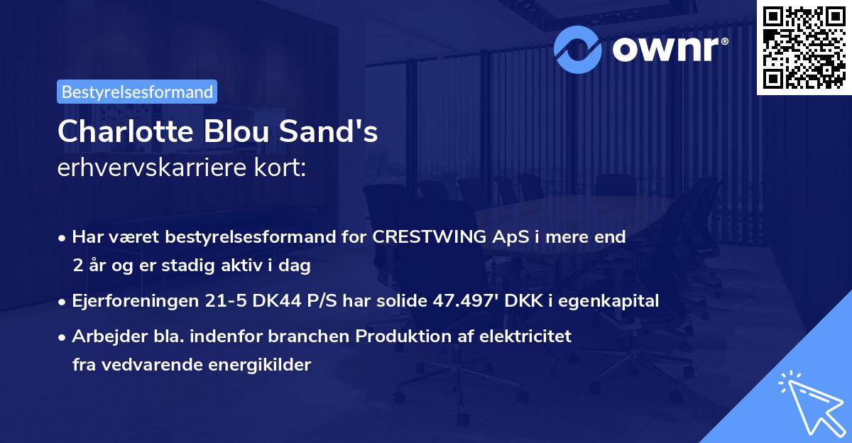 Charlotte Blou Sand's erhvervskarriere kort