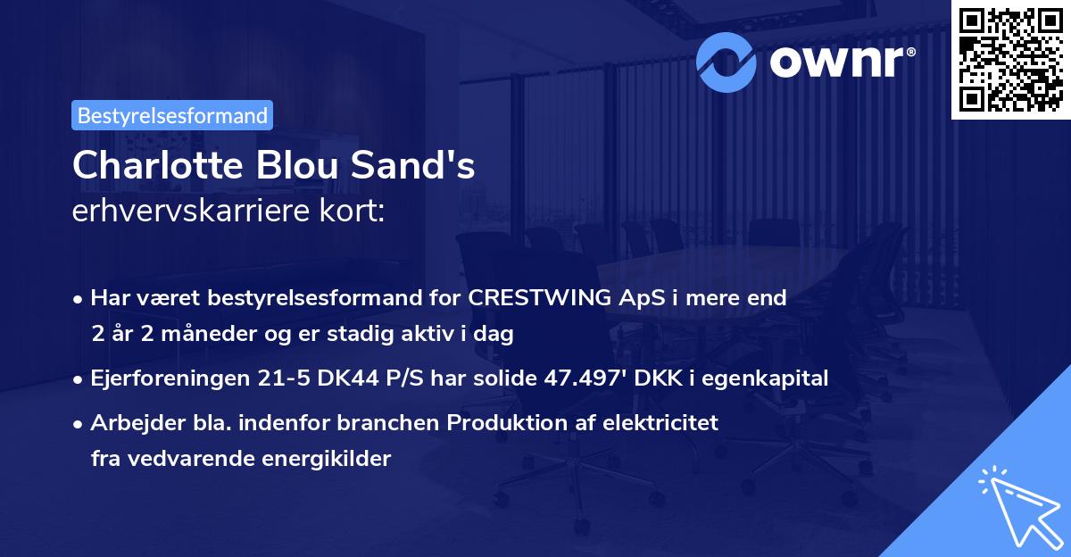 Charlotte Blou Sand's erhvervskarriere kort