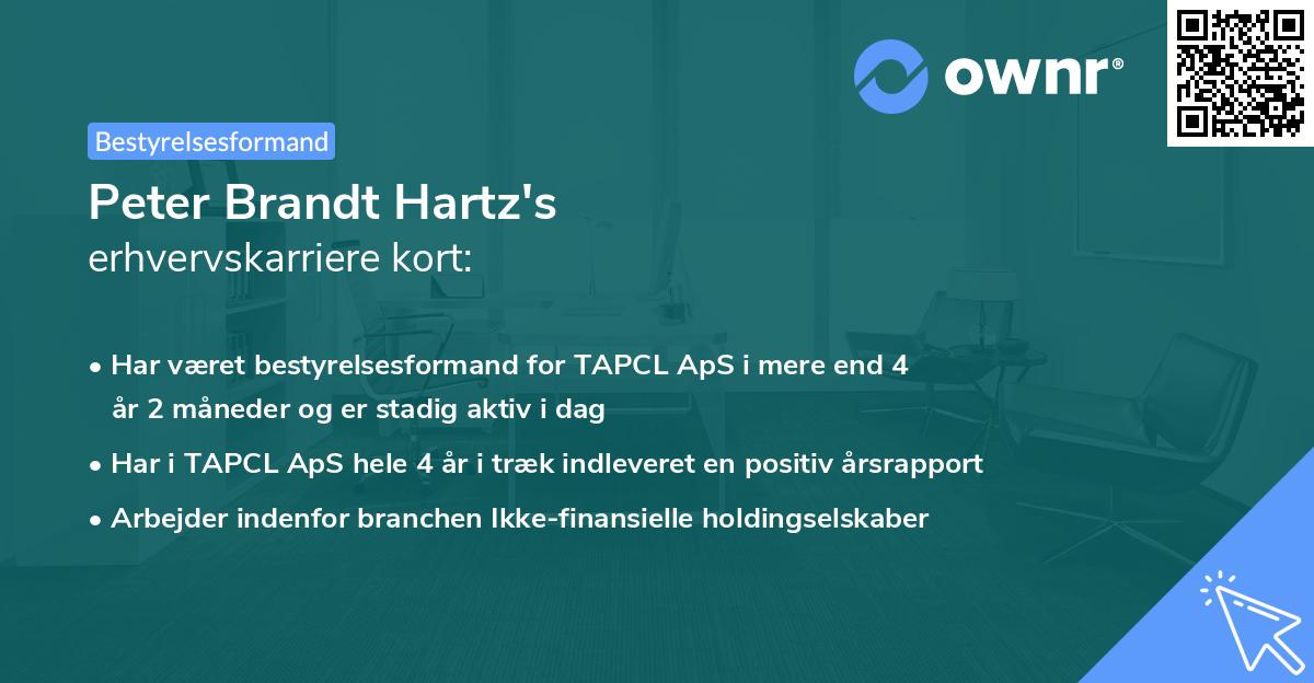 Peter Brandt Hartz's erhvervskarriere kort