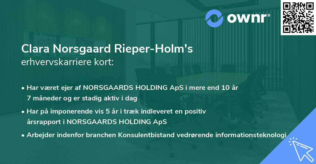 Clara Norsgaard Rieper-Holm's erhvervskarriere kort
