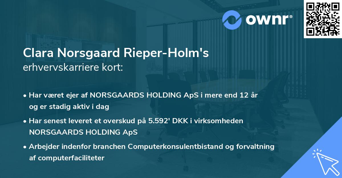 Clara Norsgaard Rieper-Holm's erhvervskarriere kort