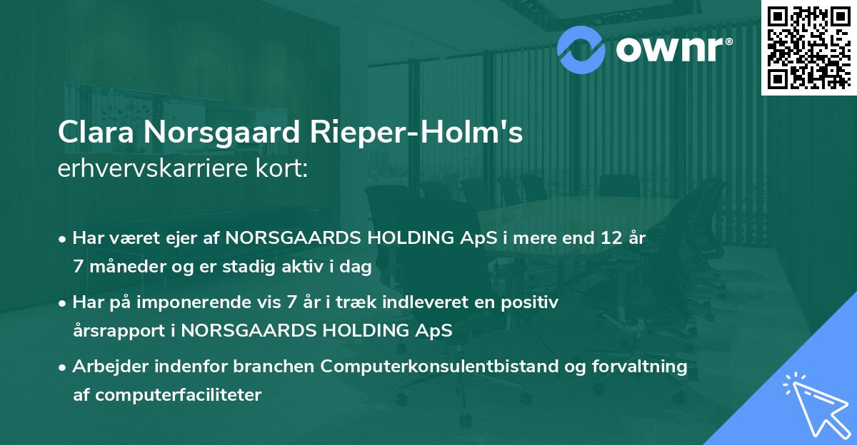 Clara Norsgaard Rieper-Holm's erhvervskarriere kort