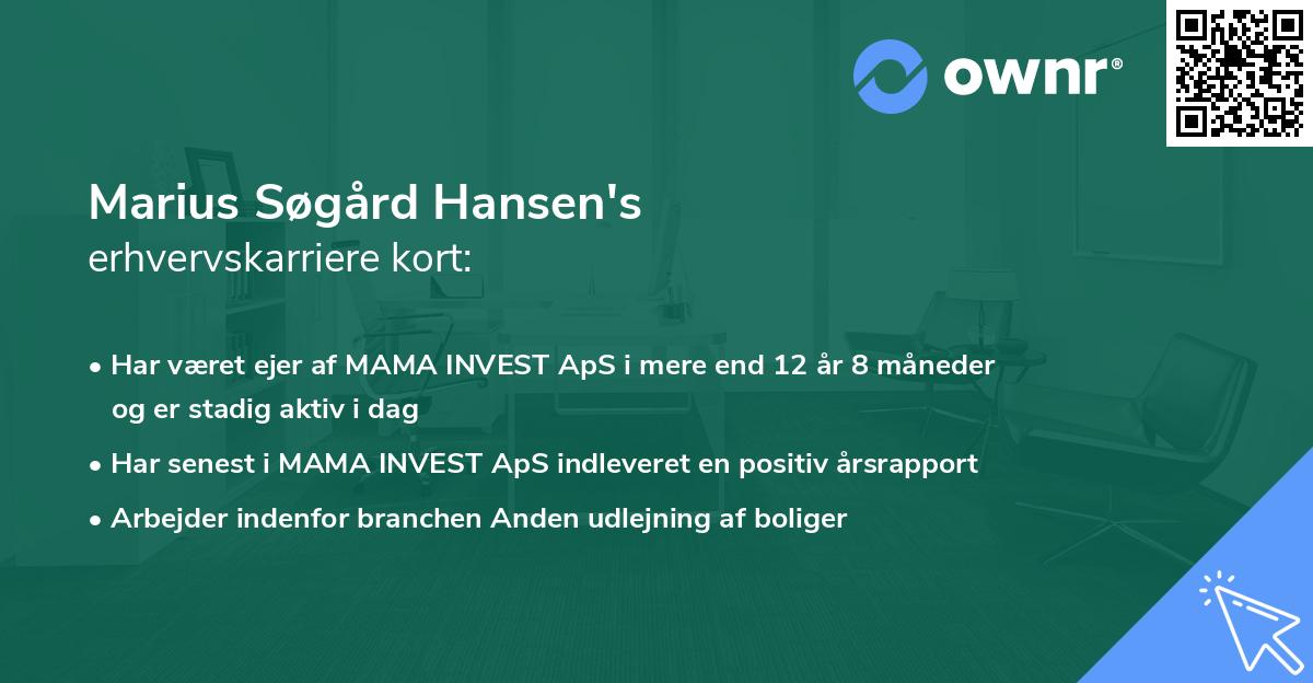 Marius Søgård Hansen's erhvervskarriere kort