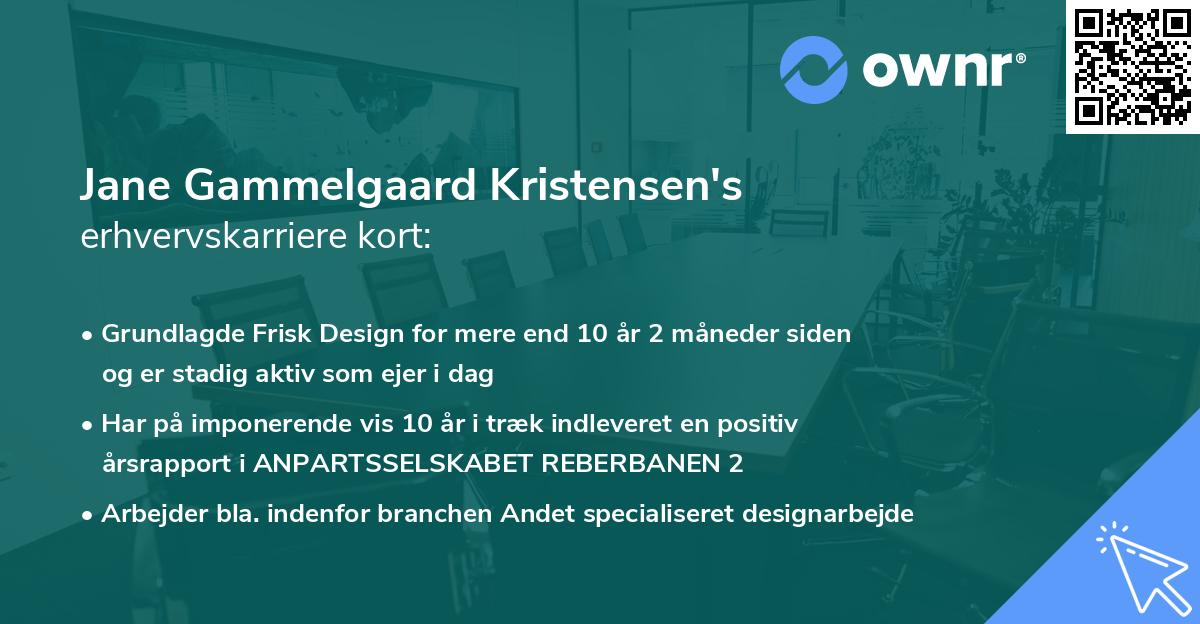 Jane Gammelgaard Kristensen's erhvervskarriere kort