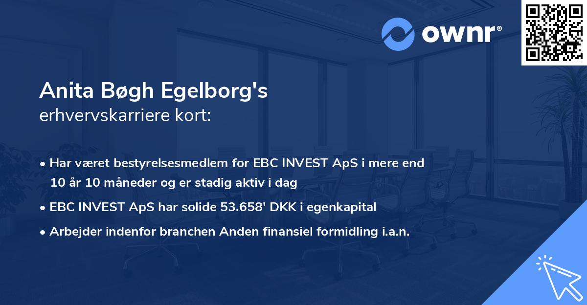 Anita Bøgh Egelborg's erhvervskarriere kort