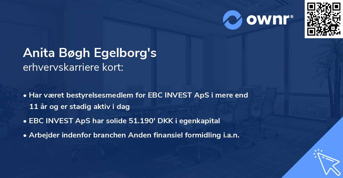 Anita Bøgh Egelborg's erhvervskarriere kort