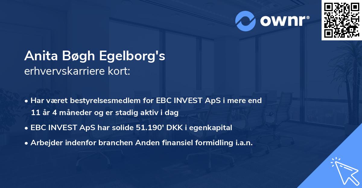 Anita Bøgh Egelborg's erhvervskarriere kort