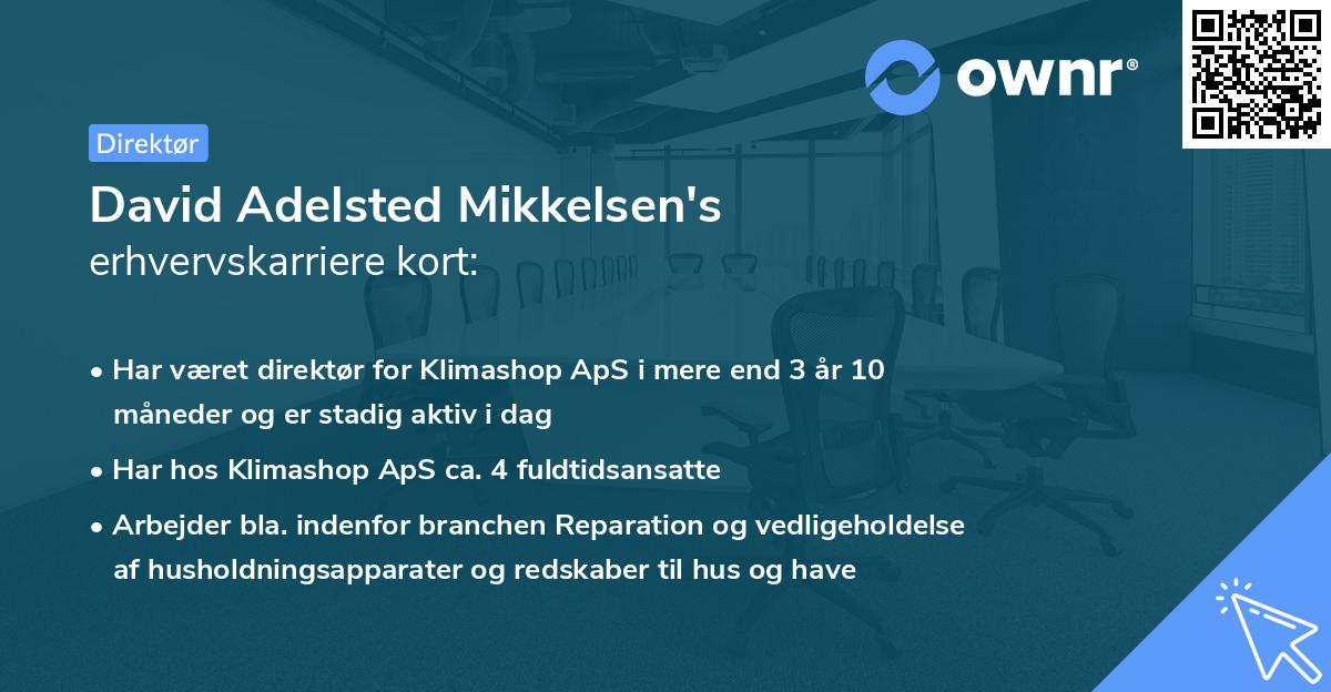 David Adelsted Mikkelsen's erhvervskarriere kort