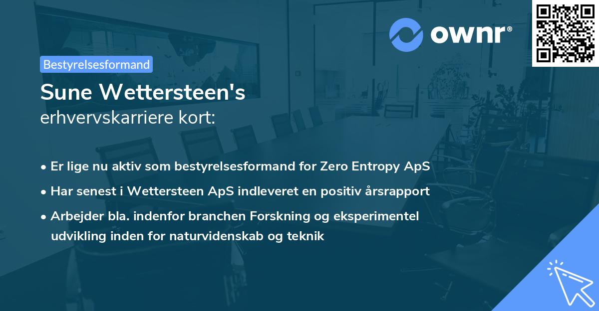 Sune Wettersteen's erhvervskarriere kort