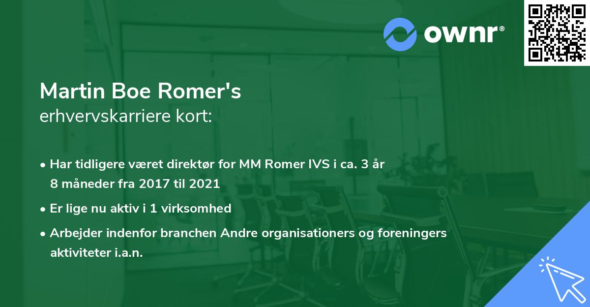 Martin Boe Romer's erhvervskarriere kort