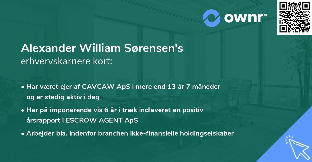 Alexander William Sørensen's erhvervskarriere kort
