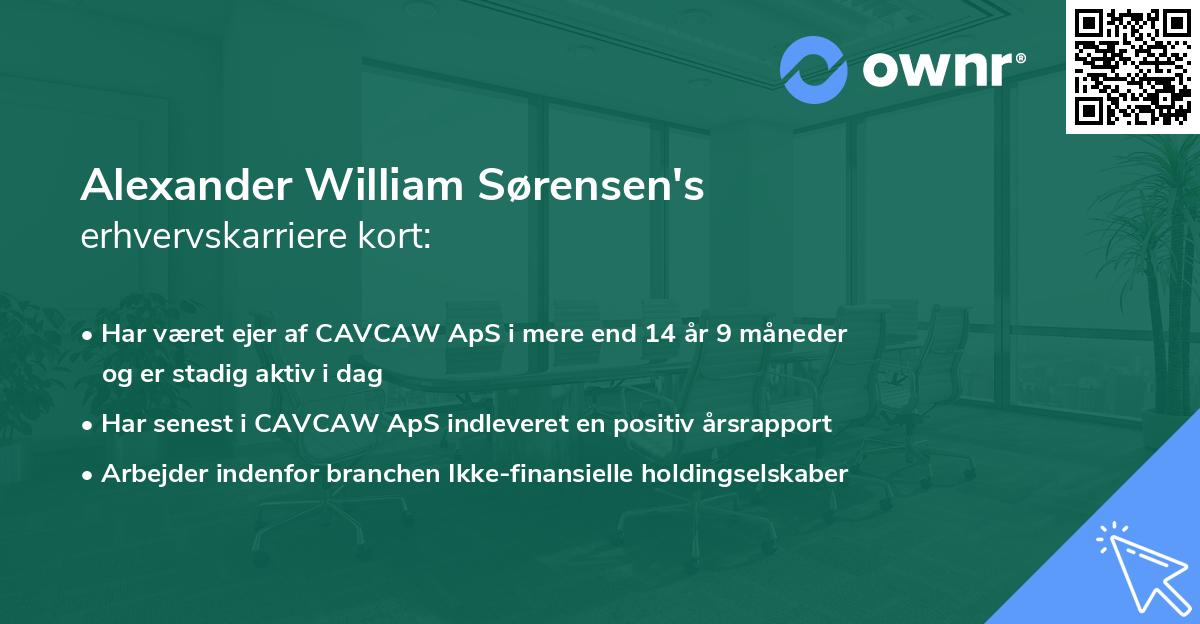 Alexander William Sørensen's erhvervskarriere kort