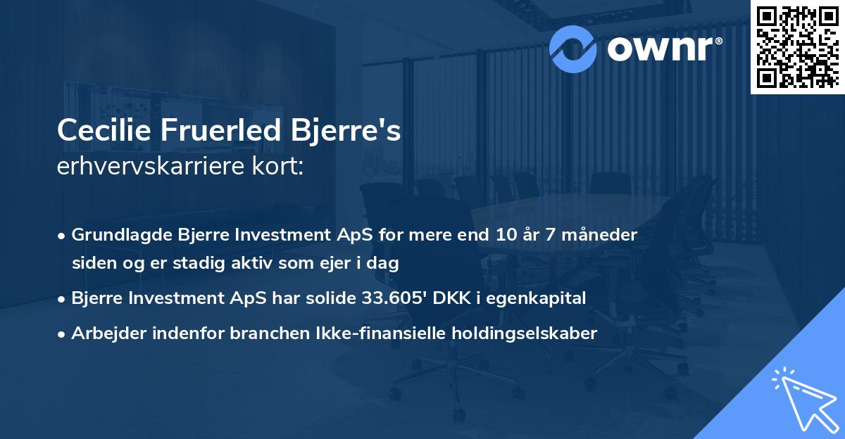 Cecilie Fruerled Bjerre's erhvervskarriere kort