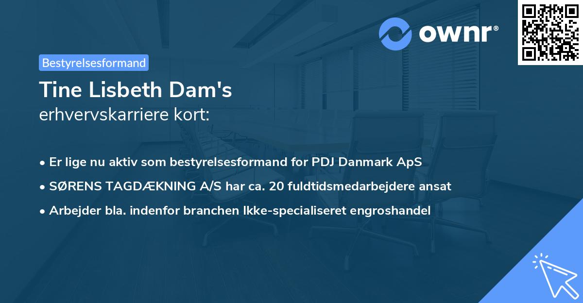 Tine Lisbeth Dam's erhvervskarriere kort