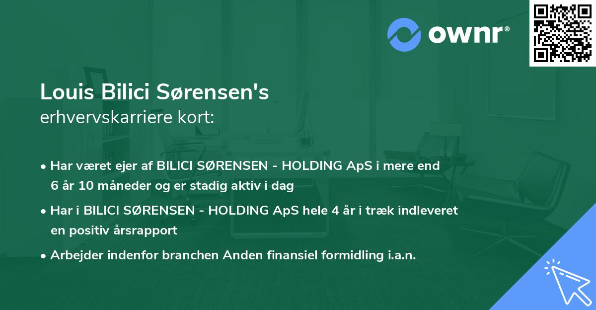 Louis Bilici Sørensen's erhvervskarriere kort