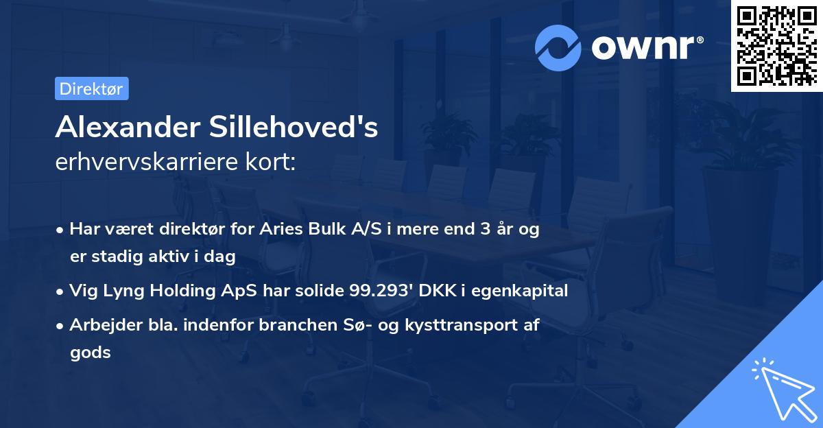 Alexander Sillehoved's erhvervskarriere kort