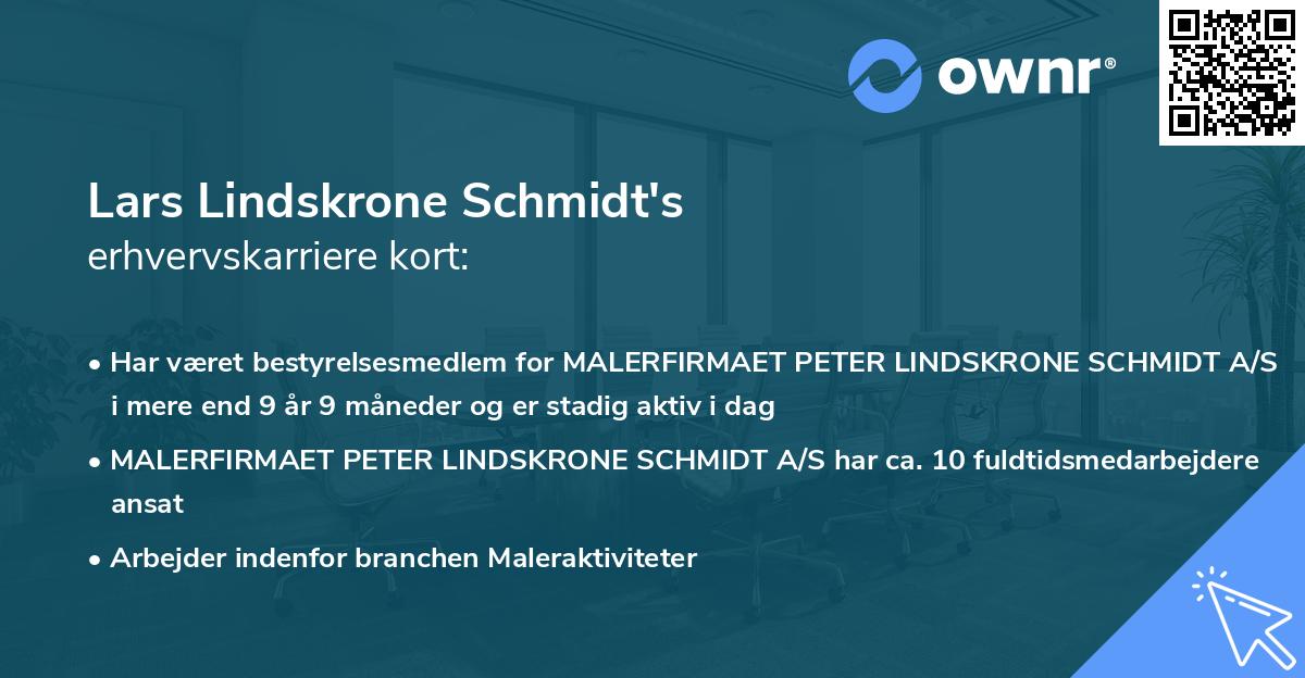 Lars Lindskrone Schmidt's erhvervskarriere kort