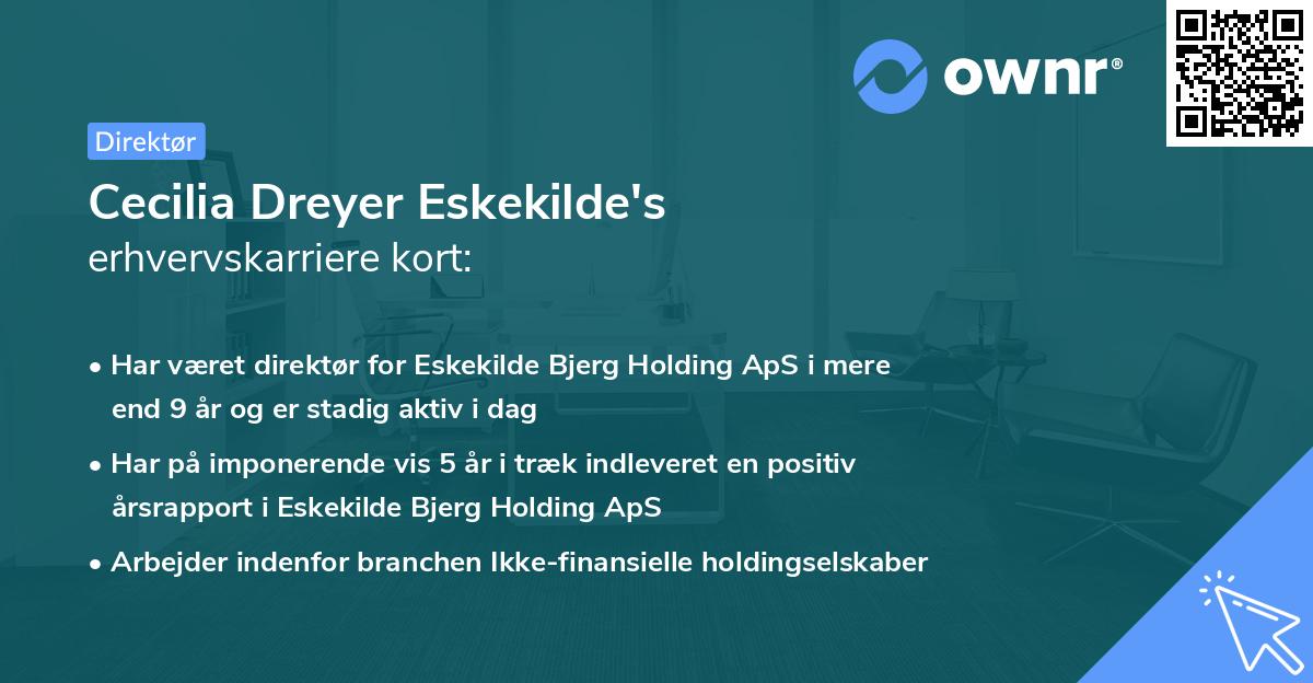 Cecilia Dreyer Eskekilde's erhvervskarriere kort