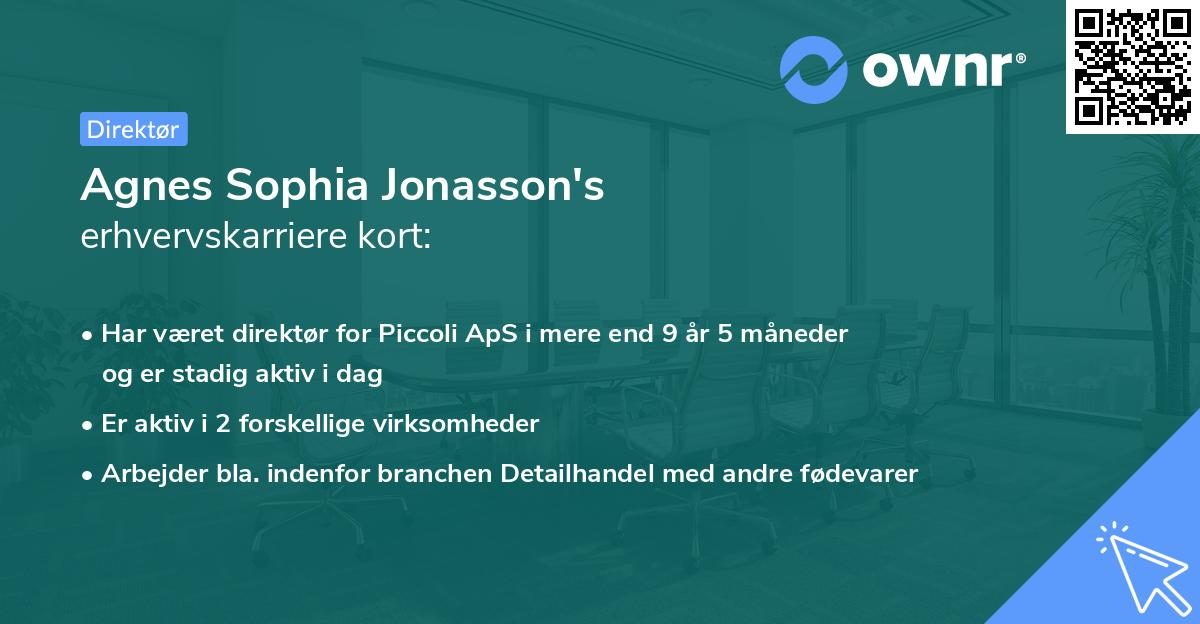 Agnes Sophia Jonasson's erhvervskarriere kort