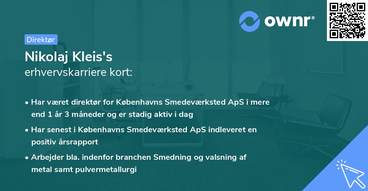 Nikolaj Kleis's erhvervskarriere kort