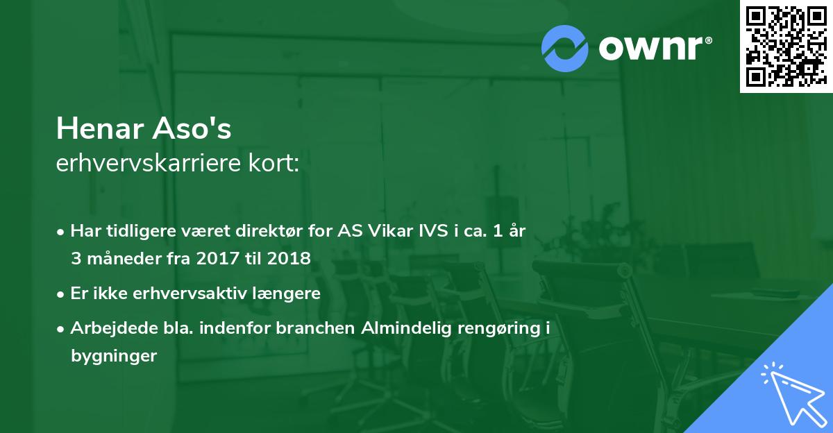 Henar Aso's erhvervskarriere kort