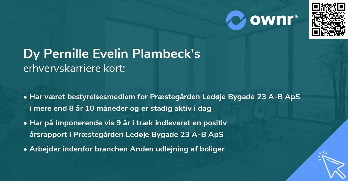 Dy Pernille Evelin Plambeck's erhvervskarriere kort