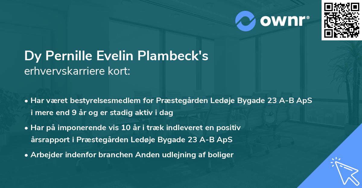 Dy Pernille Evelin Plambeck's erhvervskarriere kort