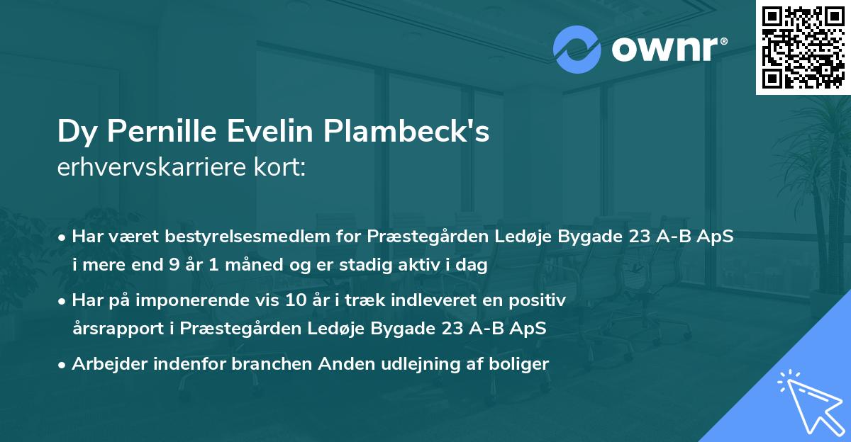Dy Pernille Evelin Plambeck's erhvervskarriere kort