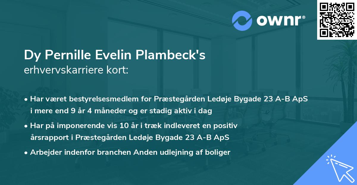 Dy Pernille Evelin Plambeck's erhvervskarriere kort
