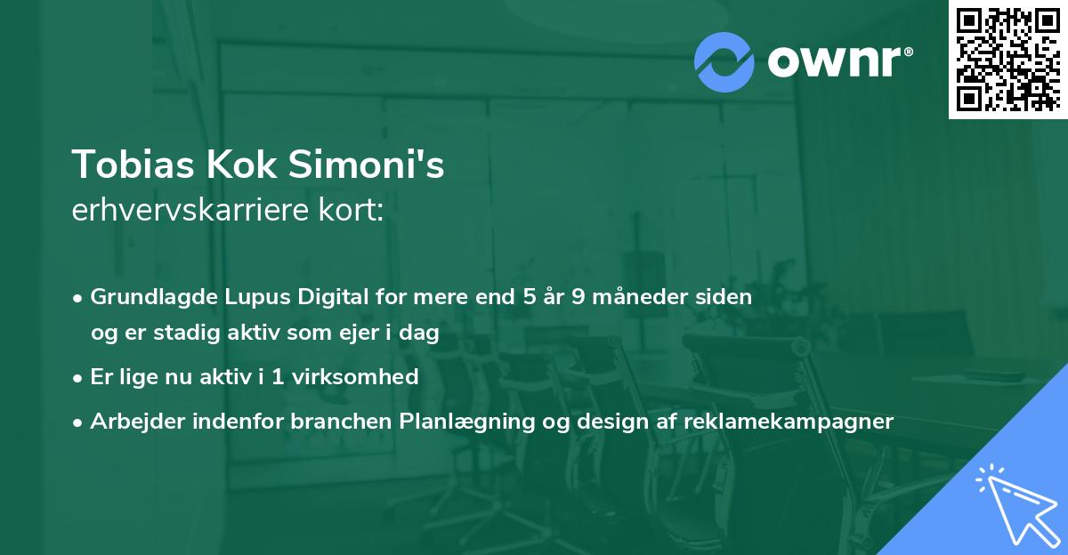 Tobias Kok Simoni's erhvervskarriere kort
