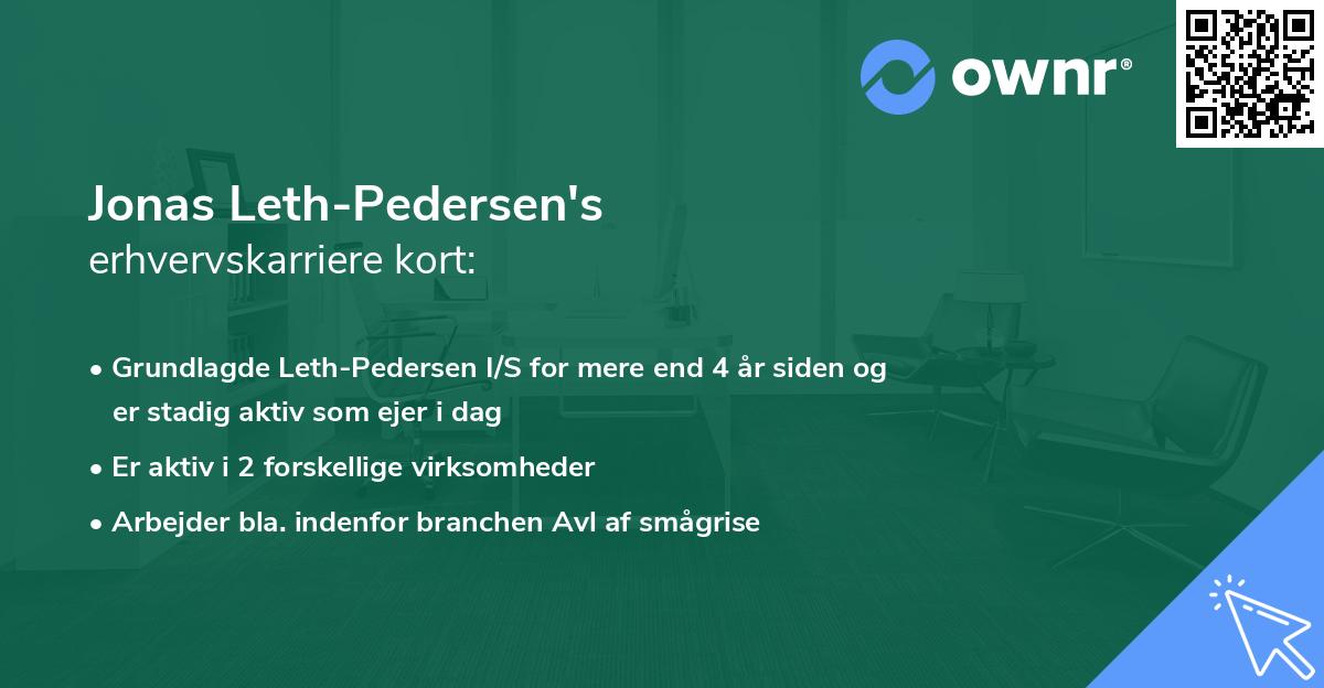 Jonas Leth-Pedersen's erhvervskarriere kort