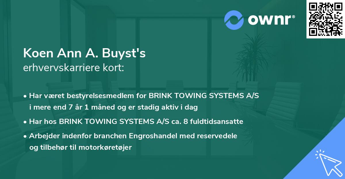 Koen Ann A. Buyst's erhvervskarriere kort