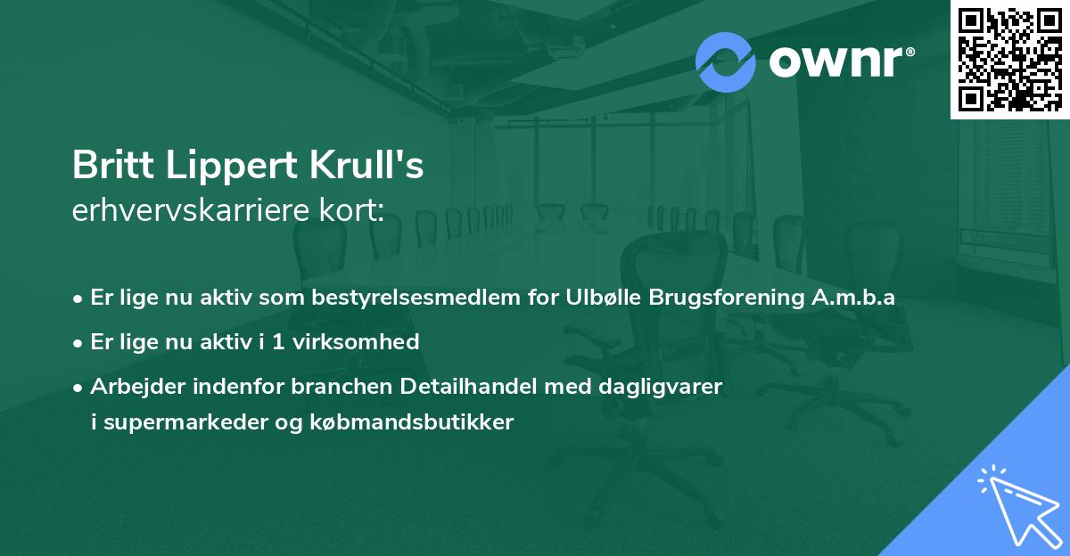Britt Lippert Krull's erhvervskarriere kort