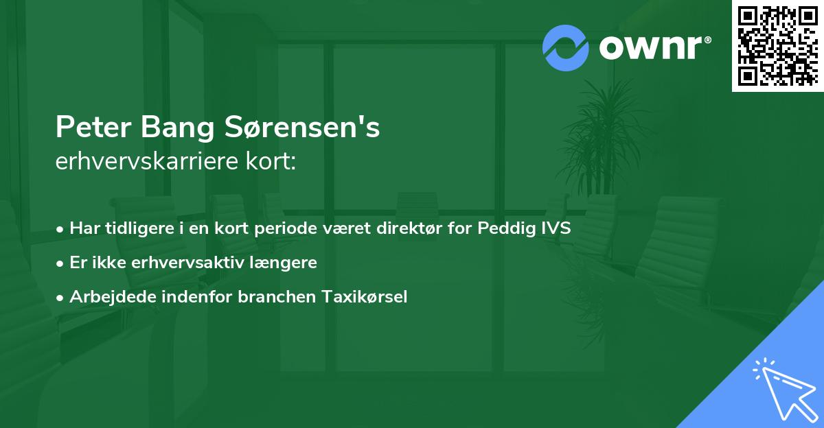 Peter Bang Sørensen's erhvervskarriere kort